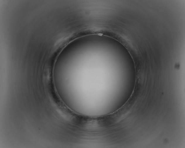 X0000093090740200710101517