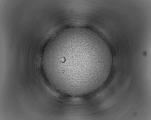 X0000093090741200710101517