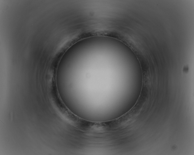 X0000093090742200710101517