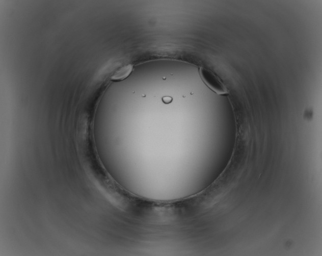 X0000093090744200710101517