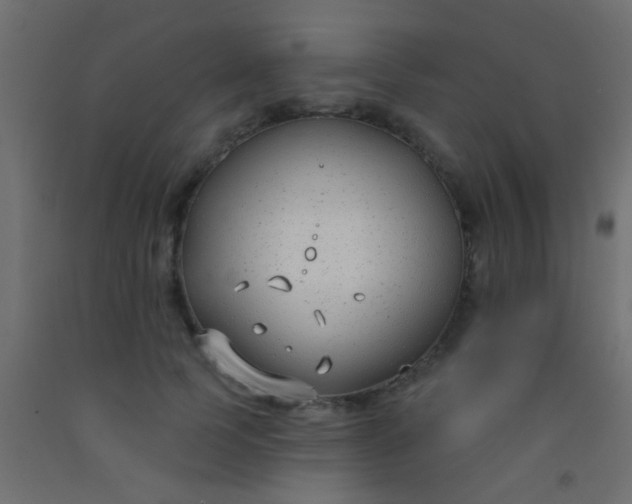 X0000093090745200710101517