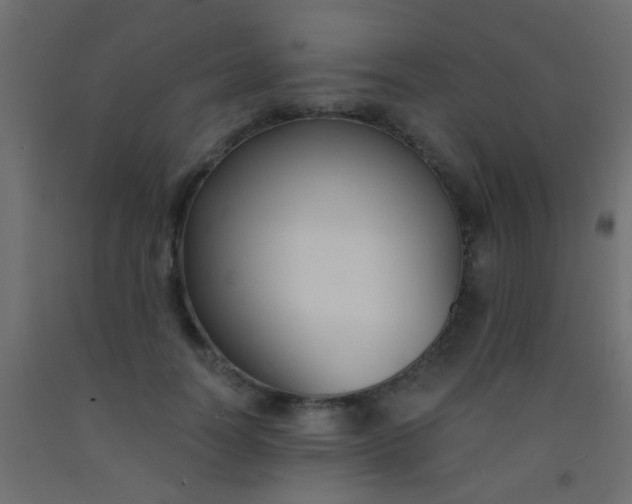 X0000093090746200710101517