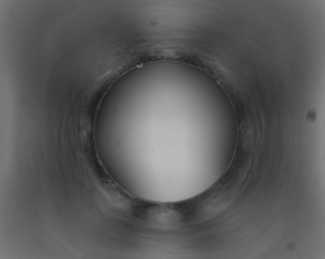 X0000093090747200710101517