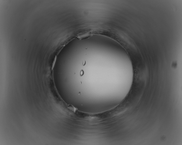 X0000093090748200710101517