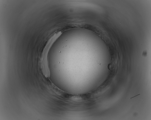 X0000093090749200710101517