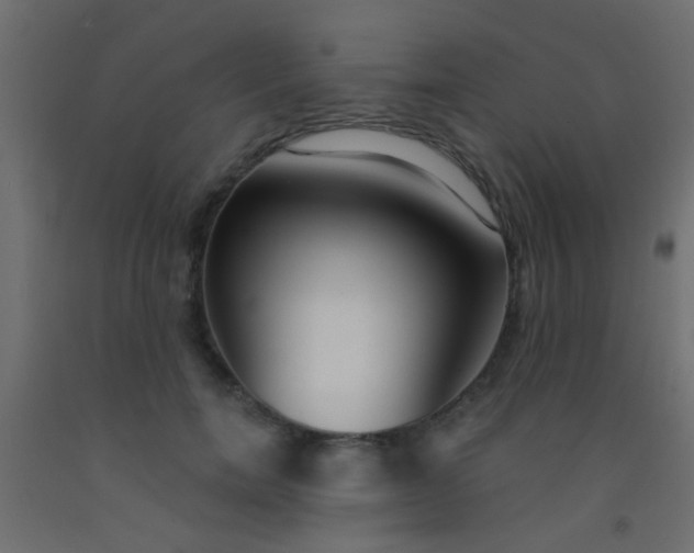 X0000093090750200710101517