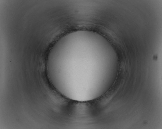 X0000093090751200710101517