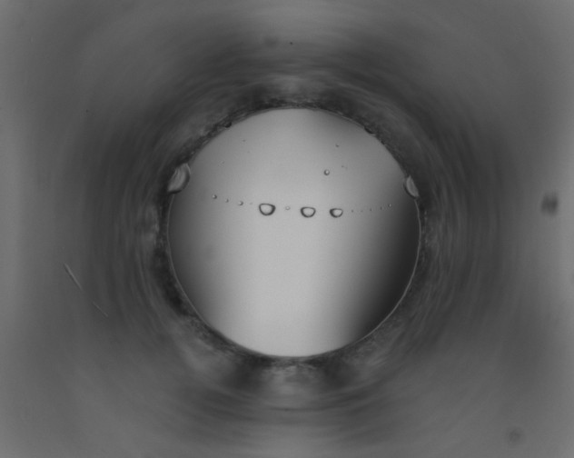 X0000093090752200710101517