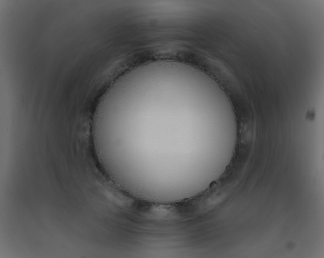 X0000093090753200710101517