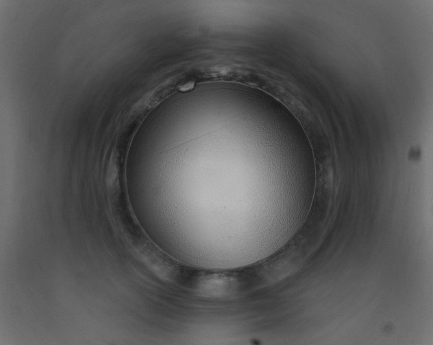 X0000093090754200710101517