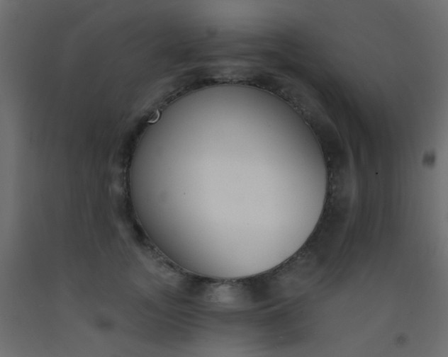 X0000093090755200710101517