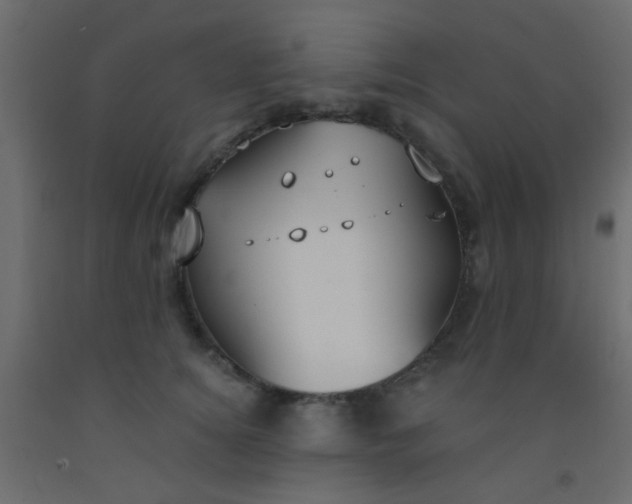 X0000093090756200710101517