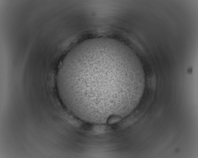 X0000093090757200710101517