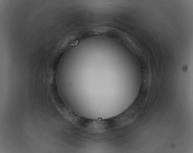 X0000093090758200710101517