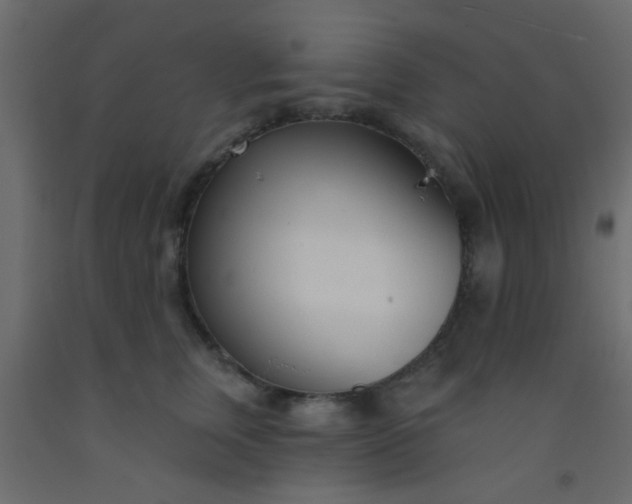 X0000093090759200710101517