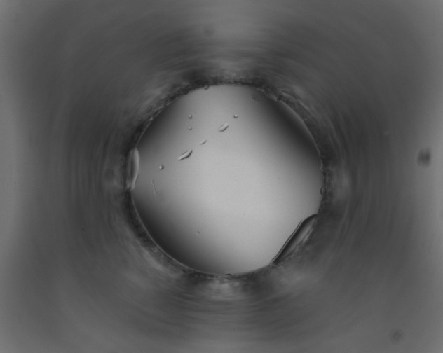 X0000093090760200710101517