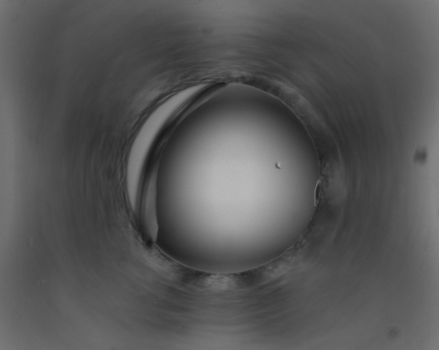 X0000093090762200710101517