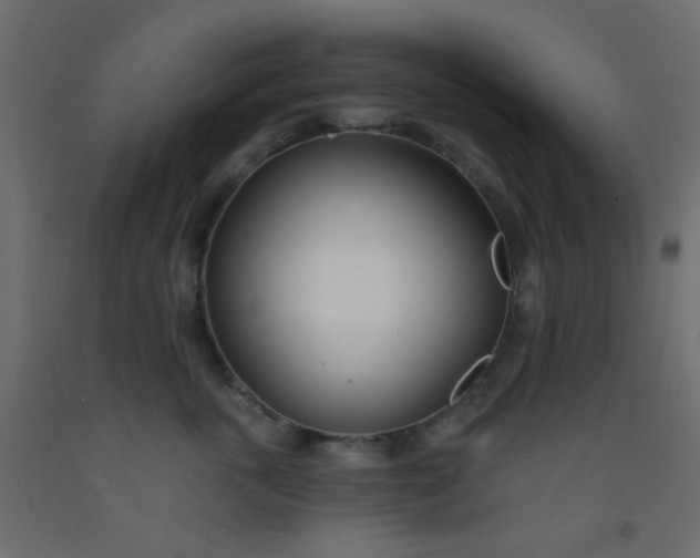 X0000093090763200710101517