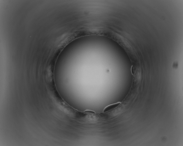 X0000093090764200710101517