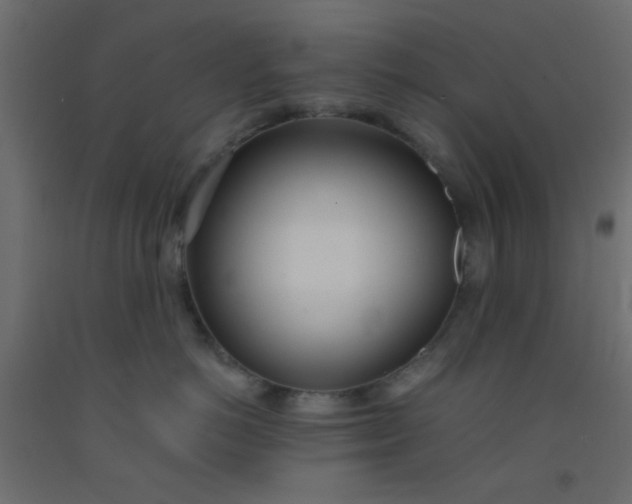 X0000093090766200710101517