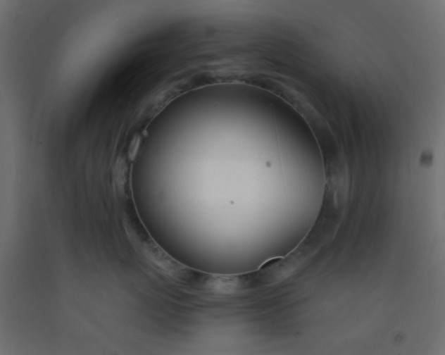 X0000093090767200710101517