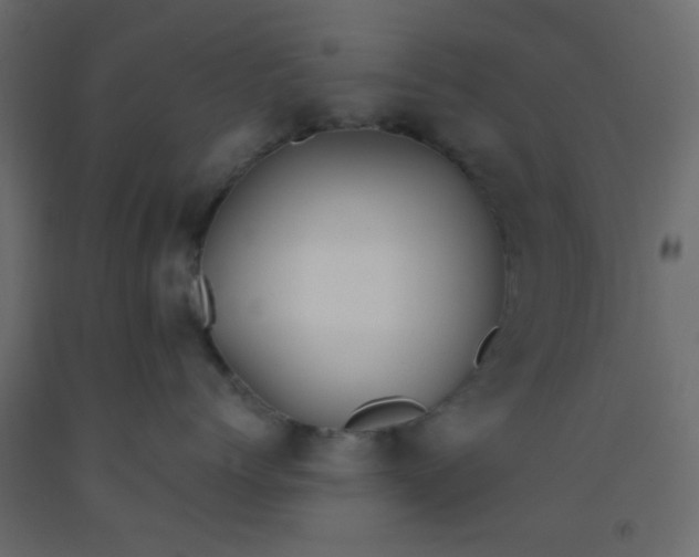 X0000093090768200710101517