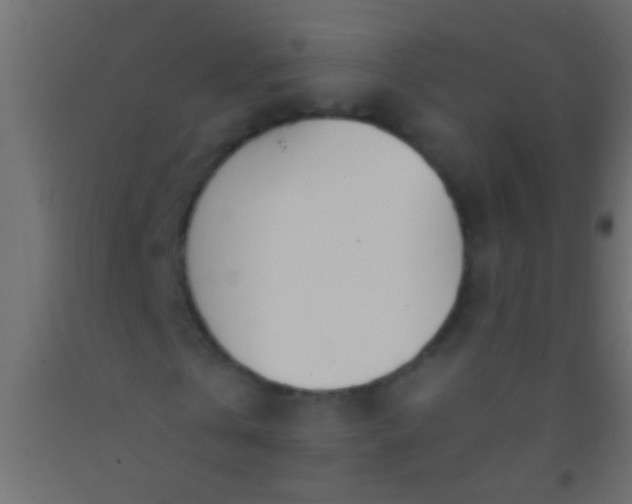 X0000093090769200710101516