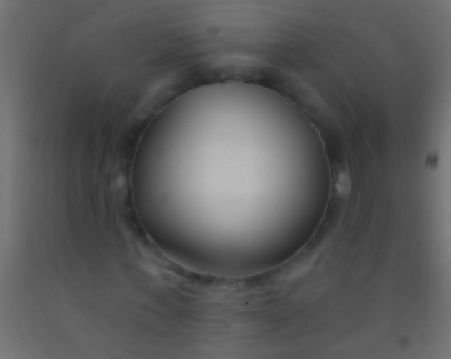 X0000093090771200710101516