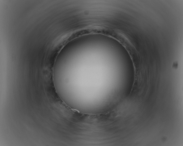 X0000093090773200710101516