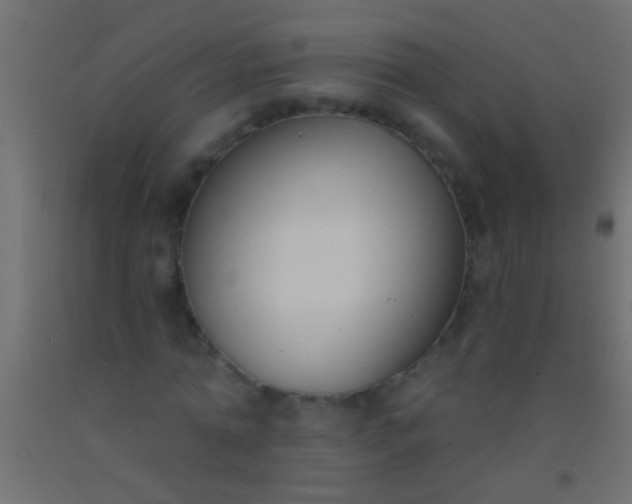 X0000093090774200710101516