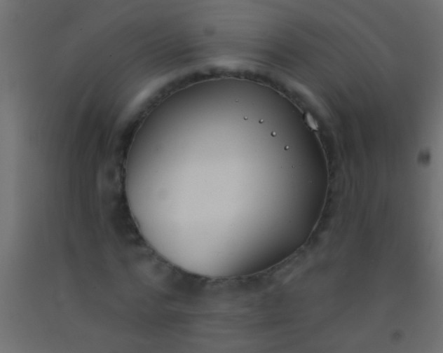 X0000093090776200710101516