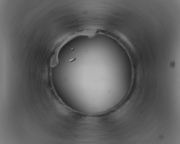 X0000093090777200710101516