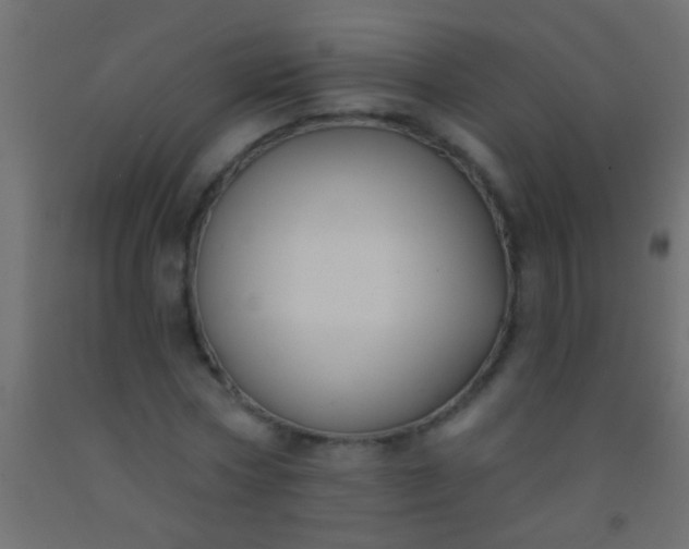 X0000093090778200710101516