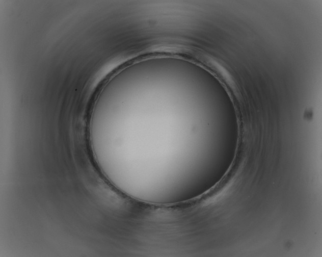 X0000093090779200710101516