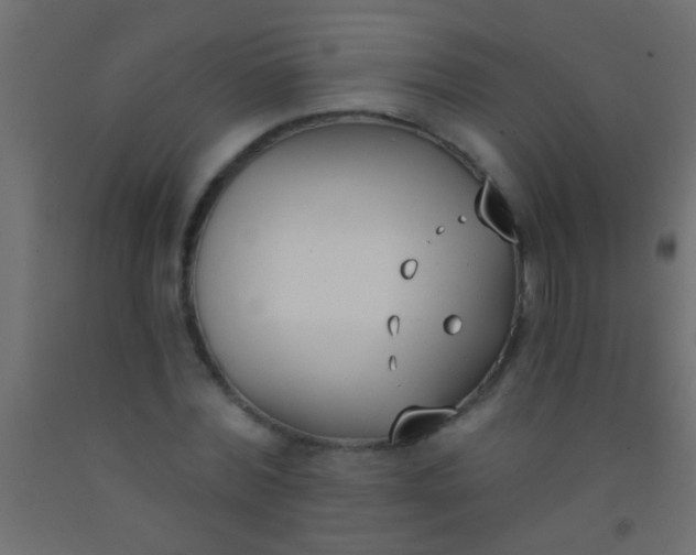 X0000093090780200710101516