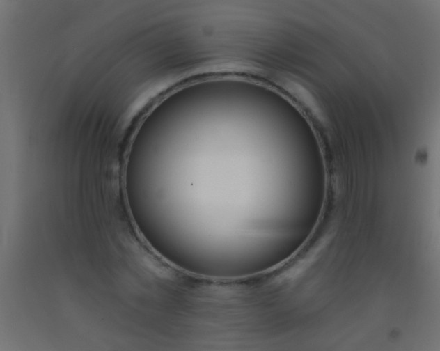 X0000093090781200710101516