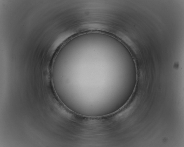 X0000093090782200710101516