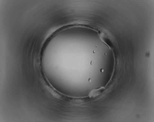 X0000093090784200710101516