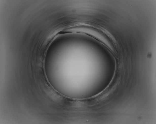 X0000093090785200710101516