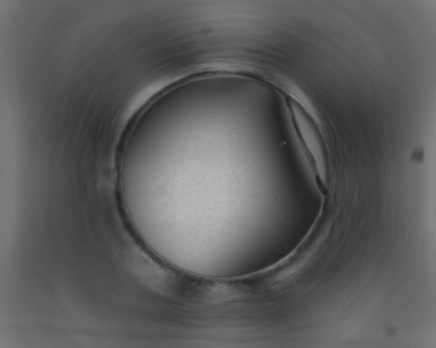 X0000093090787200710101516