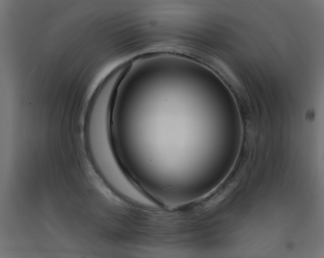 X0000093090788200710101516