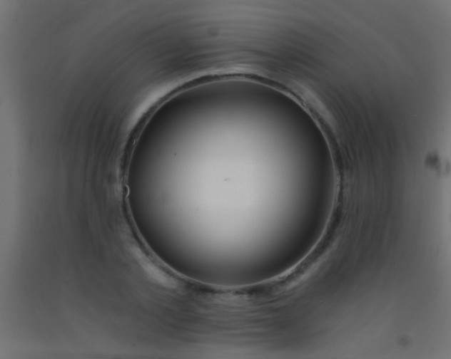 X0000093090789200710101516