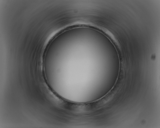 X0000093090791200710101516