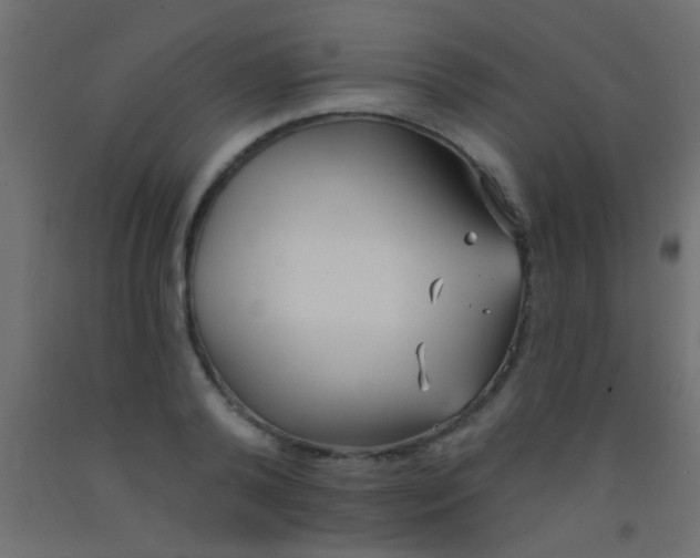 X0000093090792200710101516