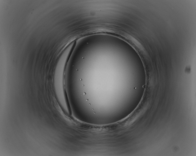 X0000093090793200710101516