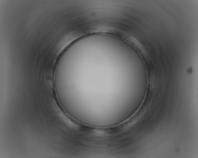 X0000093090794200710101516