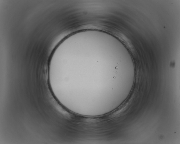 X0000093090796200710101516