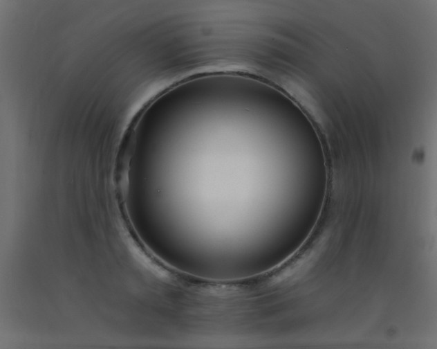 X0000093090797200710101516