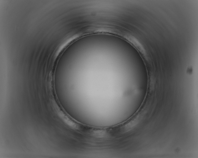 X0000093090798200710101516