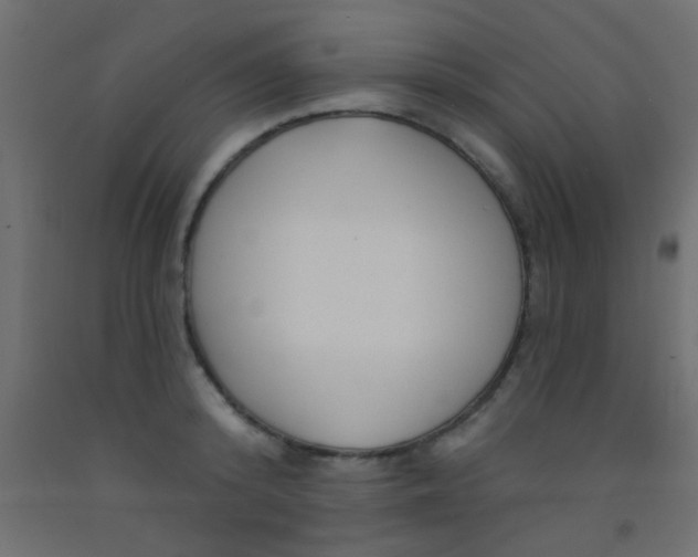 X0000093090800200710101516